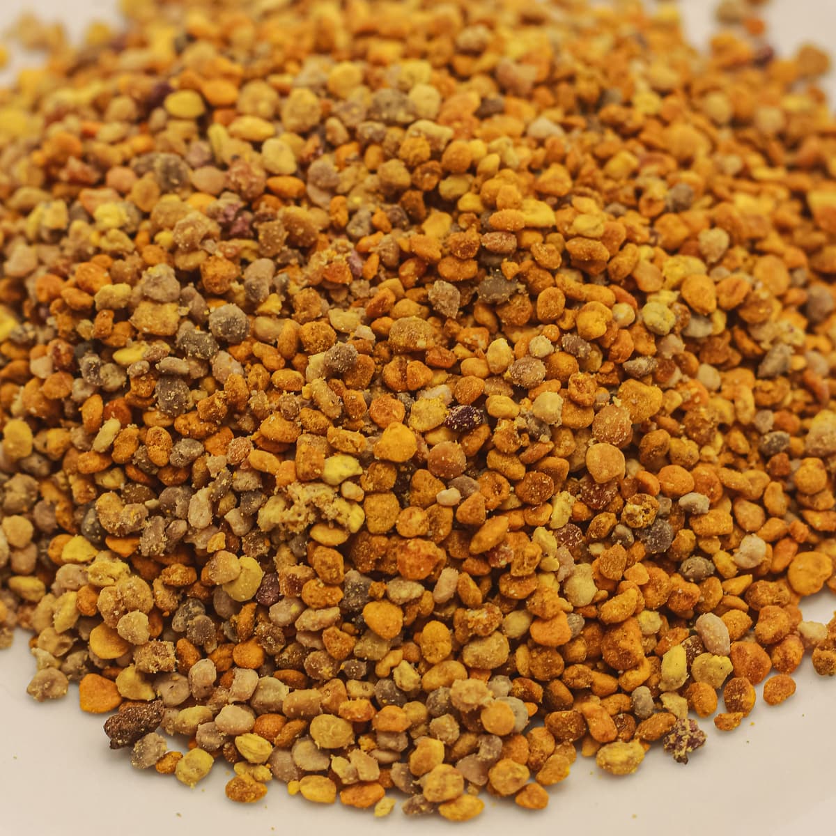 گرده بهاره